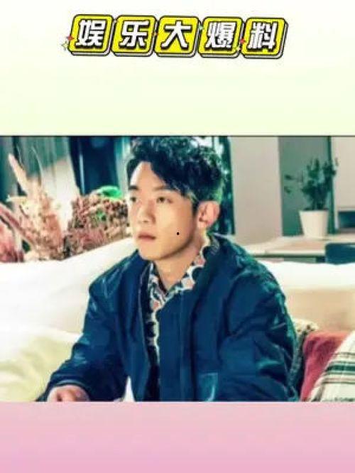 娱乐吃瓜星人,揭秘明星们的“吃瓜”生活