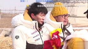 崽崽娱乐圈吃瓜,揭秘明星幕后故事，吃瓜群众狂欢盛宴