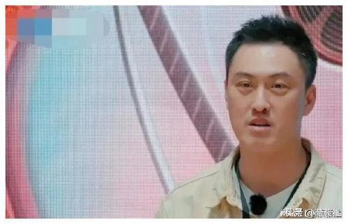 娱乐圈爆料瓜还没吃够,瓜还没吃够，新瓜即将来袭！