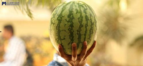 娱乐爆吃瓜,明星们的“吃货”日常大揭秘