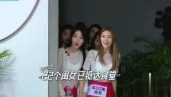 娱乐吃瓜酱缘分,缘分下的娱乐圈风云录